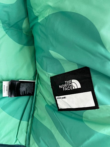 The North Face x KAWS Youth Nuptse Down Jacket