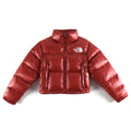 The North Face Women's 700-Fill Relaxed Fit Down Puffer with RDS Certification