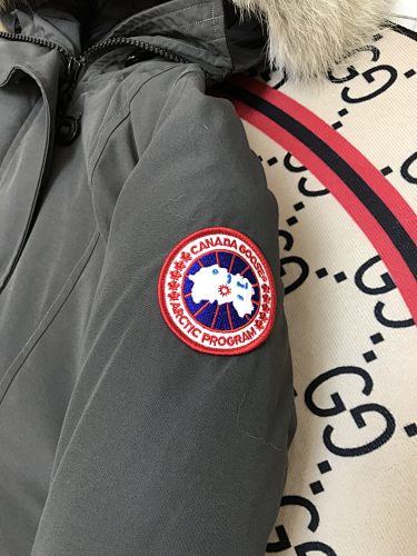 Canada Goose Expedition Parka in Grey